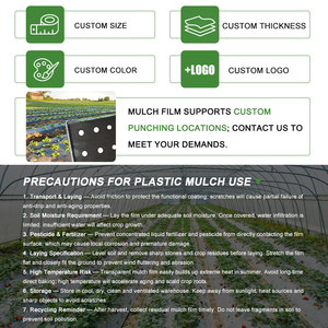 Film de paillage <span class=keywords><strong>agricole</strong></span> noir et argenté 25 microns pour le contrôle des mauvaises herbes, en PE, service de découpe, durée de vie 5 ans, paiement par carte de crédit accepté - Product Image 4