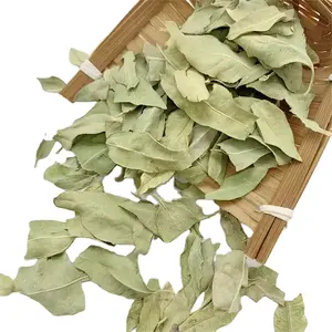 Luo bu ma YE Trung Quốc tự nhiên khô xanh dogbane apocynum venetum lá cho trà