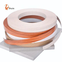 Duzia Hot Sale PVC Edge Tape Band Production Machine Extrusion Line for Furniture