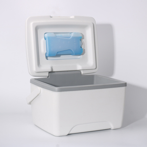 <span class=keywords><strong>Goodwin</strong></span> 2023 Nuevo Producto, Nevera Portátil Moderna de 30L para Camping, Refrigerador, Incubadora, con Asa, Impermeable, Material PP, Diseño con Letras - Product Image 3