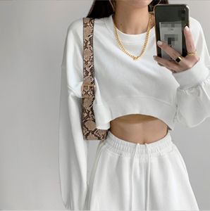 <span class=keywords><strong>M</strong></span>-2XL короткая Осенняя толстовка с капюшоном, однотонный топ, новый свободный женский топ с круглым воротом и длинными рукавами - Product Image 1