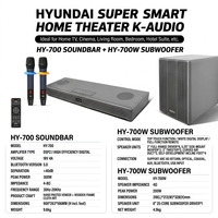 Barre de son karaoké DSP HY-700 300W avec caisson de basses Bluetooth 5.0, haut-parleur home cinéma TV, micro sans fil, ARC, optique