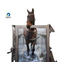 EUR VET Nouveau design Équipement vétérinaire Entraînement équestre Récupération Hydrothérapie équine Systèmes de tapis roulant pour chevaux