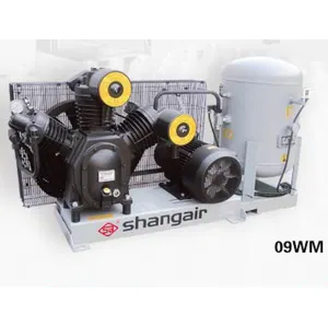 Shangair 09WM-1130H-YQ Compressore D'aria 09WM Serie 09CWM Compressore D'aria