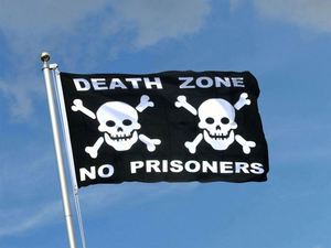 China Factory Wholesale 3x5 ft Cheap <b>Flag</b> Full Color Printed 150D Polyester Digital Printing Custom Pirate <b>Flags</b>, Banners - Product Image 2