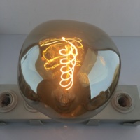 Ampoule à LED de forme extraterrestre Couleur Fumée Gris foncé Ampoule Edison LED 230V E27 4W6W8W 50/60Hz Vintage Led Filament Lampe Edison décorative