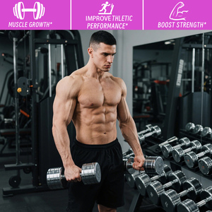 Factory Wholesales <b>Creatine</b> Monohydrate Gummies with <b>Creatine</b> Monohydrate Improve Strength & Power Enhance Brain Health - Product Image 4
