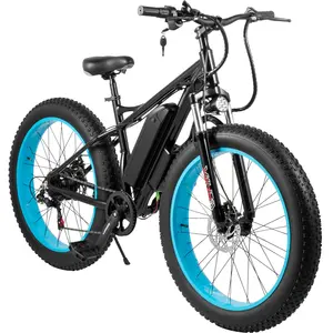 गर्म बेच बर्फ ebike 26 इंच 36V 12A 500W इलेक्ट्रिक साइकिल वसा टायर पहाड़ बाइक