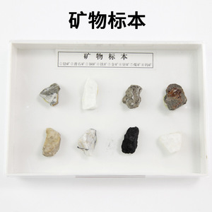 Espécimen Mineral (Caja de Plástico) J49005, Instrumento de Enseñanza de Ciencias Naturales, Geografía y Ciencia Popular para Escuelas Primarias - Product Image 4