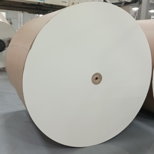 Rollo de papel recubierto de PE con retención de tinta superior que proporciona colores brillantes en las impresiones, adecuado para la producción a granel de etiquetas de alimentos y regalos. - Product Image 1