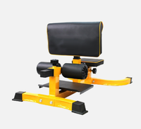 Sissy Squat Machine et Preacher Curl Crunch Rack-Banc accroupi pliable pour la maison FITNESS Gym