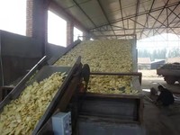 Volautomatische Droogapparatuur Voor Groenten En Fruit, Doorlopende Gaasbanddrogers