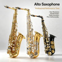 Wholesale Brass Eb Alto Saxophone with Case Accessories Factory Price for Sale Accept OEM ODM Customize Logo Gold Lacquer Finish