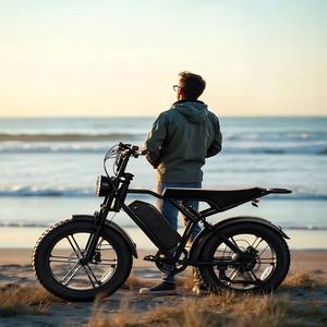Factory Wholesale Hybrid Ebike 250W 48V 15AH 20x4.0 Disc Brake Snow Fat Tire Electric Bike in Stock Adults Electric Bicycle - Product Image 3