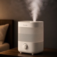 Humidificateur ultrasonique en plastique 2L, diffuseur d'arômes silencieux à nano-brume 2000ml avec protection contre la marche à sec pour usage domestique