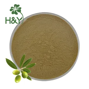 Extraits de plantes de haute qualité hydroxytyrosol 10% extrait de feuille d'olivier