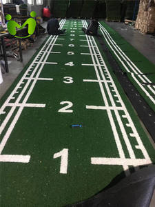 <span class=keywords><strong>Tapis</strong></span> d'herbe artificielle d'intérieur personnalisable de haute qualité MCG Gym, 15 mm d'épaisseur, écologique avec motif unique pour la luge - Product Image 6