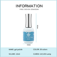 Ensemble de vernis à ongles en gel Ms Rainbow, design de marque privée, vernis gel 15 ml, ensemble de vernis à ongles à source de lumière LED
