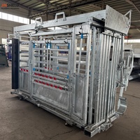 Cage d'immobilisation pour bovins avec fonction de palpation pour les exploitations bovine