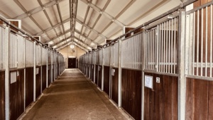 À prova de tempo portátil Horse Box Stall Instalação rápida Prefab Horse Shelter para uso agrícola ao ar livre - Product Image 6