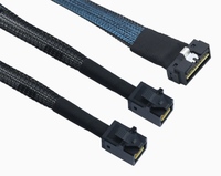 Câble de serveur haute vitesse Pcie Gen5 MCIO 8i vers 2x SFF-8643 Mini SAS