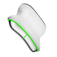 Nouveau produit 2026 : Masseur Guasha chauffant et vibrant EMS avec lumière LED pour le visage et le corps