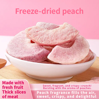 Fabrikant's Rechte Fruitcrisps Vriesgedroogde Perzik