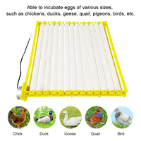 Haute 156 Oeuf Multifonction Rouleau Plateau À Oeufs 220V 110V 12V Mini Moteur Incubateur Automatique pour Oiseaux Poulet Canard Caille pour Fermes