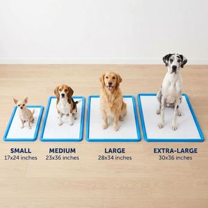 Pañales para Mascotas de Fábrica Certificada ISO, Súper Absorbentes, a Prueba de Fugas, Desechables, con Empaque Personalizado, OEM, ODM, al por Mayor - Product Image 4