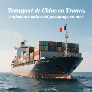 Spedizioniere Marittimo Agente di Spedizione 20gp 40hq Trasporto Veicoli Elettrici a Nuova Energia - Product Image 3