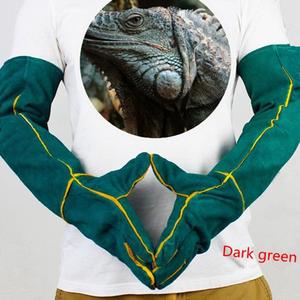 Doublure en toile respirante pour chien, <span class=keywords><strong>chat</strong></span>, oiseau, serpent, perroquet, lézard, gants de Protection des animaux sauvages - Product Image 4