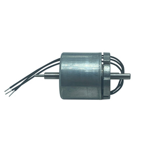 Motor CC sin escobillas 2824B de 36V con imán permanente para instrumentos cosméticos - Product Image 4
