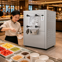 Machine à glace dure avec deux cylindres aromatisés, machine à gelato commerciale pour ligne de desserts en buffet et en libre-service