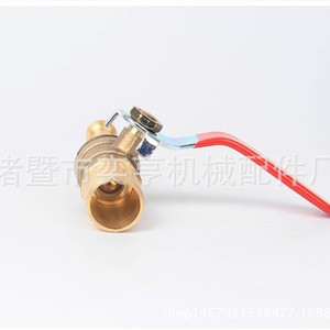 Pistola de Agua de Cobre Ephon, Válvula Recta de Cobre, Boquilla para Manguera de Riego de Jardín, 30 Pa, Limpieza Manual - Product Image 1