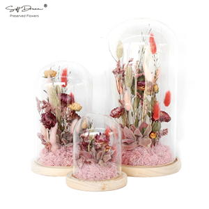 San Valentín 2024 <span class=keywords><strong>flores</strong></span> <span class=keywords><strong>silvestres</strong></span> preservación floral cúpula de cristal para artículos de decoración del hogar - Product Image 2
