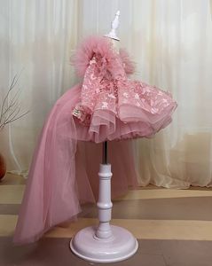 Nuovo Arrivo Personalizzato: Abito Rosa per il Primo Compleanno della Bambina <span class=keywords><strong>con</strong></span> <span class=keywords><strong>Farfalle</strong></span> 3D, Lussuoso <span class=keywords><strong>Vestito</strong></span> da Cerimonia Senza Maniche Ricamato - Product Image 3