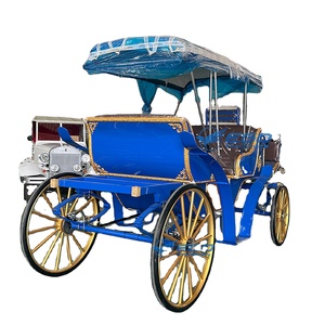 Carruaje Turístico Victoria a Precio de Fábrica, Transporte Especial para Bodas, Carruajes Eléctricos en Venta - Product Image 1
