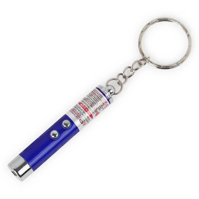Evernew Modern Luxury Classic Eco-Friendly Stainless Steel Cat Laser Pointer with Red Point-Interactive Pet Toy