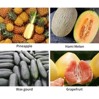 Industriële multifunctionele fruit- en groenteschilmachine van roestvrij staal voor de keuken, geschikt voor ananaswortels