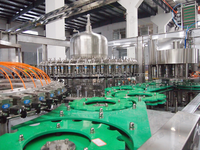 Automatische sapvulmachine, fruit sap bottelapparatuur, NFC verse sap PET flesvulfabriek