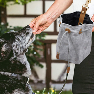 Portable Chien Traiter Poche Sacs Creative Chien Snack Sac En Plein Air Pet Traiter Sac De Stockage Titulaire Avec Clip - Product Image 2