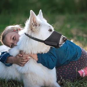 Nuovo Arrivo: Museruola Regolabile e Traspirante in Rete per Cani - Anti-Morso, Anti-Raccolta, Museruola in Nylon per Cani - Product Image 6