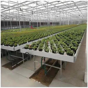 Vente directe Grande table de <span class=keywords><strong>jardin</strong></span> pour plantes d'intérieur avec chaleur mobile Plateau roulant <span class=keywords><strong>en</strong></span> <span class=keywords><strong>zinc</strong></span> Couverture <span class=keywords><strong>en</strong></span> feuille de PC - Product Image 5