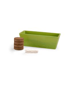 Mini kit <span class=keywords><strong>de</strong></span> jardin d'intérieur personnalisable pour enfants Ensemble d'outils à main <span class=keywords><strong>de</strong></span> luxe pour la culture du basilic Pots <span class=keywords><strong>de</strong></span> fleurs et jardinières Boîte d'emballage - Product Image 4