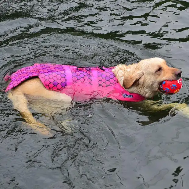 犬の水泳用品ペットライフジャケットシャークマーメイド水着犬の水着安全スーツ犬の夏服