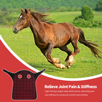 Anredar Equine Lumière Infrarouge Tête de Cheval Lumière Rouge Thérapie Animal Lumière Rouge pour Chevaux