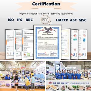 ที่คีบปูแช่แข็งสไตล์ญี่ปุ่นทำจากเทมปุระแบบ<span class=keywords><strong>ทอด</strong></span>สำหรับร้านอาหารซูชิเนื้อ<span class=keywords><strong>กรอบ</strong></span>ขายส่งจำนวนมาก - Product Image 5