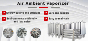 250nm3/h 30bar công nghiệp môi trường xung quanh Vaporizer lỏng Argon khí môi trường xung quanh không khí Vaporizer - Product Image 2