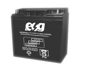 Valve rechargeable ESG 12V 17AH batterie plomb acide stockage matière première batterie à faible auto-décharge pour l'éclairage - Product Image 5