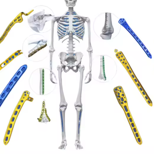 <strong>Proximal</strong> Lateral Shaft Orthopedic Implants Locking <strong>Humeral</strong> Plate - Product Image 2